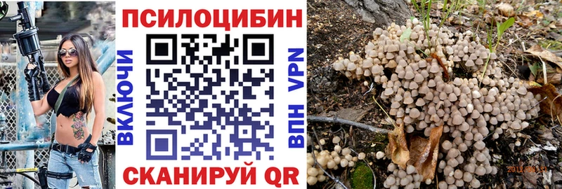 Купить  Спасск-Дальний  Псилоцибиновые грибы ЛСД 